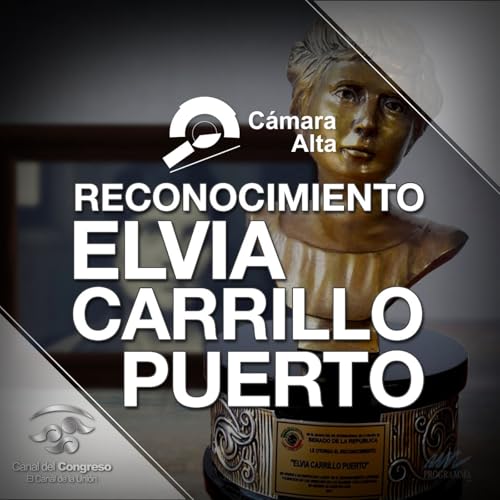 『Reconocimiento Elvia Carrillo Puerto』のカバーアート