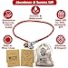 Abundance & Success Red Silk String Coin Charm Anklet Jewelry for Women in Sterling Silver - 9.5