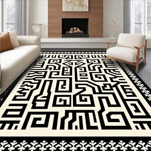 ODIKA Flatwoven High Traffic Area Rug 8x10, Interlocking Maze with