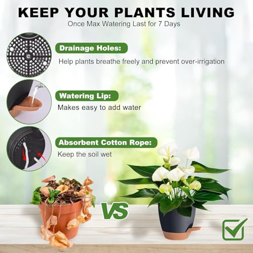 Image of INKULTURE Flower Pot for Indoor Plants - Self Watering Plant Pot Set of 5, Multi Size Plastic Planter with Drainage Hole & Watering Lip (7 /6.5 /6 /5.5 /5 Inch) Black | Pots for Home, Office & Succulents