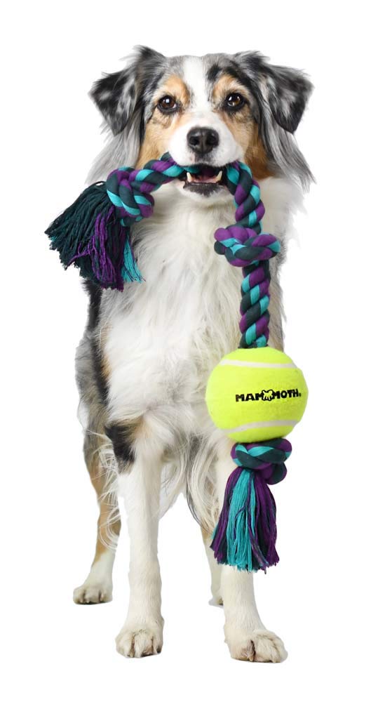 Mammoth Flossy Chews Color 3 Knoten Tug w/Standard Tennisball - Premium Baumwoll-Poly Zerrspielzeug für Hunde - Interaktiv - Seil Hundespielzeug für mittelgroße Hunde - 50,8 cm