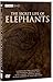Produktbild The Secret Life of Elephants [UK Import]