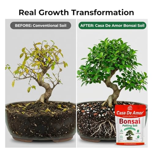 Image of Casa De Amor Organic Bonsai Potting Soil Mix 5 kg - Ready to Use Bonsai Soil for Indoor & Outdoor Bonsai Plants | Well Draining, Nutrient Enriched Bonsai Growing Medium
