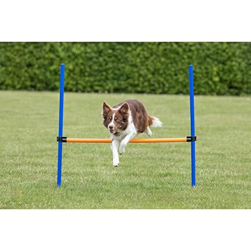 Trixie Dog Agility Hurdle, Portable Dog Agility Training, Adjustable Jumper, Exercise Tool, Blue/Orange, 48.25 X 45.25 X 1 In. #TOP1