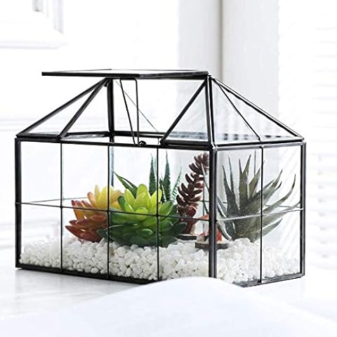 Purzest Glass Terrarium, House Shape Geometric Succulent Terrarium with Swing Lid Tabletop Planter Box Mini Indoor Greenhouse for Fern Moss Air Plants Miniature Housewarming Gift Cover