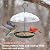 Gtongoko Platform Bird Feeder for Outdoors Hanging with 12” Weatherproof Dome, Squirrel-Resistant Metal Tray, 2 Lbs Seed Capacity, 360° Multi-Bird Feeding, Green