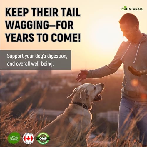 Pumpkin Powder for Dogs Organic 9 oz (255g) - Canadian Made - Premium Fibre - Canine Stool & Digestive Support - No Diarrhea or Scoots! by miNATURALS - Image 3