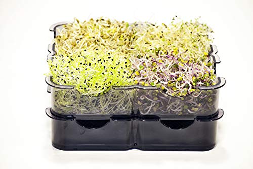 GermoglioSì Manueller Samenkeimer + 4 Packungen Mix Saatgut (32 g), professionell, multifunktional, patentiert, mit 5 Schalen aus Kunststoff, 100% recycelbar, mit MOCA-Zertifizierung.