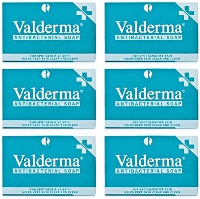 Valderma Antibacterial Soap 100g x 6