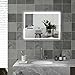 HomCom LED Wall Mount Bathroom Vanity Make Up Mirror w/Defogger - 32" x 24"