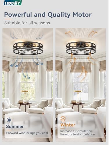 Image of LEDIARY 23 inch Caged Ceiling Fan with Light and Remote, Low Profile Flush Mount Fandelier, Black Bladeless Enclosed Small Fan Lights Ceiling Fixtures, Rustic Farmhouse Style for Bedroom, Outdoor