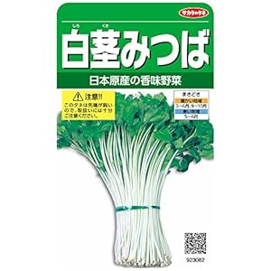 サカタのタネ 実咲野菜3082 白茎みつば 00923082" 