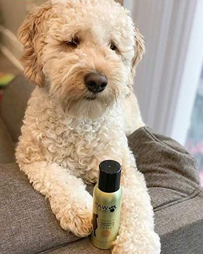 Pawfume Premium Grooming Spray (Show Dog)