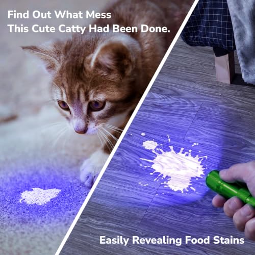 Image of Lepro 365nm UV Flashlight, Small Portable Black Light Detector for Invisible Ink Pens, Dog Cat Pet Urine Stain, AAA Batteries Included