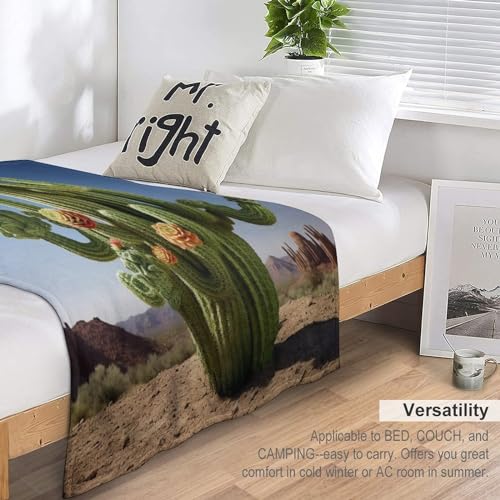 Couverture polaire en cactus de qualité supérieure en flanelle super douce