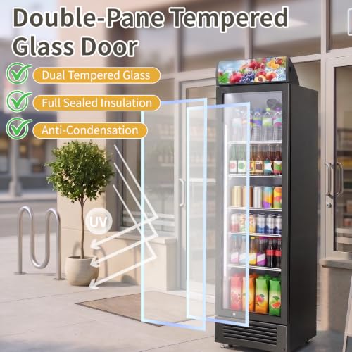 Image of DOGHLY 9 Cu.Ft Commercial Glass Door Beverage Refrigerator, Rapid Cooling
