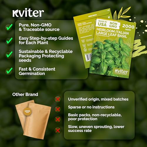 KVITER 2000 Italian Basil Seeds for Planting (Ocimum basilicum) - Sweet Genovese Basil, Heirloom & Non GMO, Classic Pesto Flavor - Herb Seeds to Plant in Containers, Outdoor & Indoor Herb Garden - Image 5