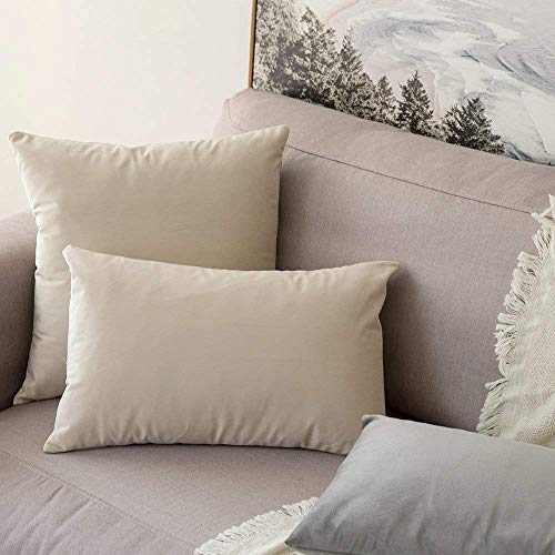 Image of Khooti Velvet Cushion Cover Pack of 1-8 inch x 12 inch / 20 x 30 cm - Light Grey - Soft Pillow Covers Cushion Case for Sofa Bedroom Livingroom Chair Car, Cushion Cover