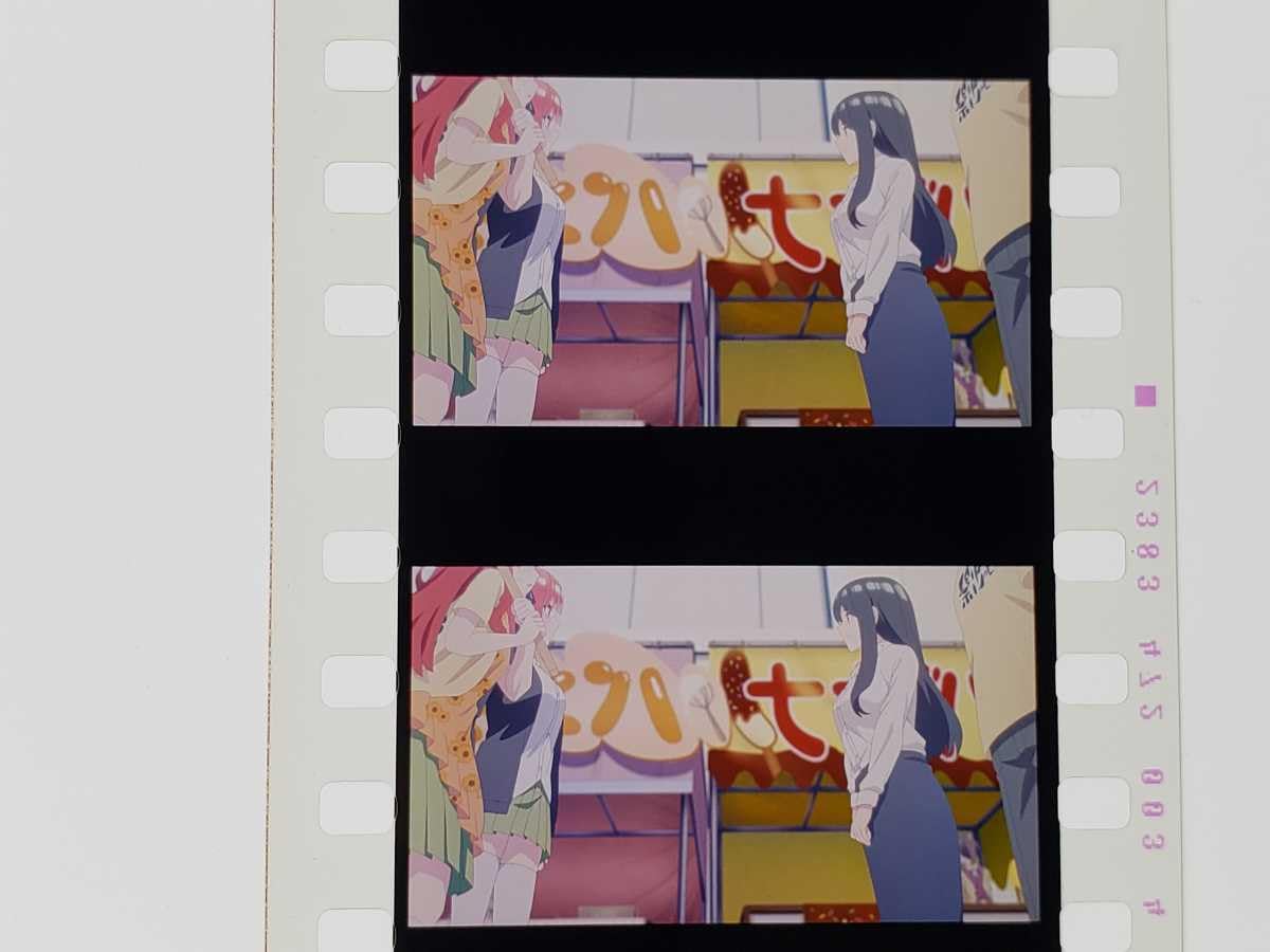 Amazon | 映画 五等分の花嫁 入場者特典 第6弾 生フィルムコマ 竹林
