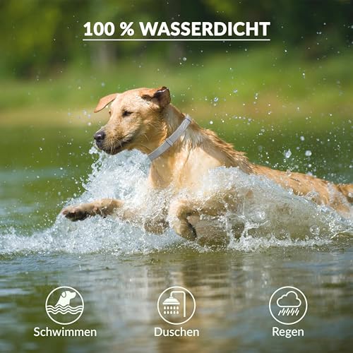 Animal Vita® Zeckenhalsband für Hunde [zuverlässiger Schutz vor Zecken] wasserdicht und verstellbar - bis zu 8 Monate Zeckenschutz mit 100% natürlichen Inhaltsstoffen, mit Zitroneneukalyptus