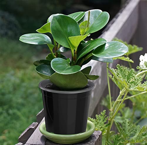 Tpgsw 25 Packs Nursery Pots, 4 5 6 Inch Flexible Seeding Pots With Drainage Holes, Round Reusable Plastic Plant Pots For Planting Flower, Succulents (5Inch, Black) B5-1 #TOP6