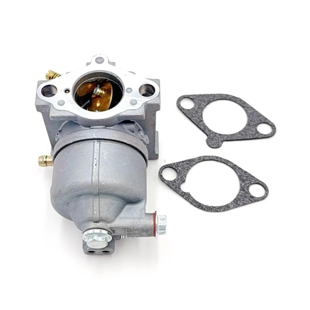 Carburateur compatible 62 853 02-S, pièce de précision pour moteur thermique