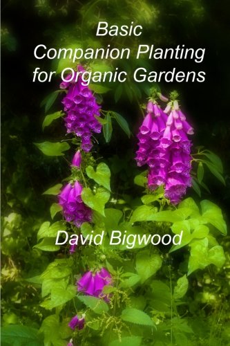 Basic Companion Planting for Organic Gardens