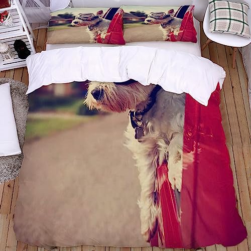 Copripiumino Matrimoniale 200x200cm Set