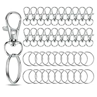 Schlüsselanhänger Karabiner Schlüsselring Edelstahl 40Stk Zinklegierung & Edelstahl Set für DIY Handwerk Haus, Auto, Sport – Ringe Karabinerhaken mit Drehgelenk (Silber 40pcs)