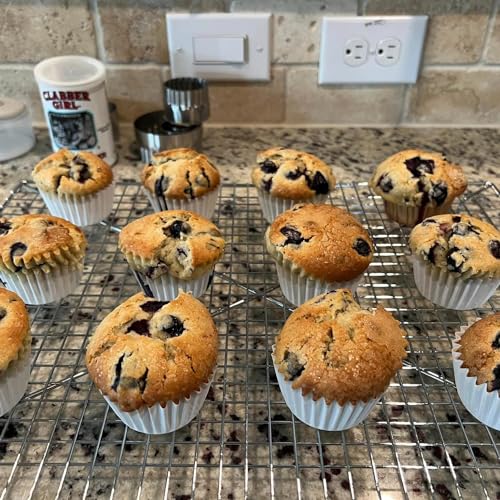 Welcome to The Free Range Gigi!