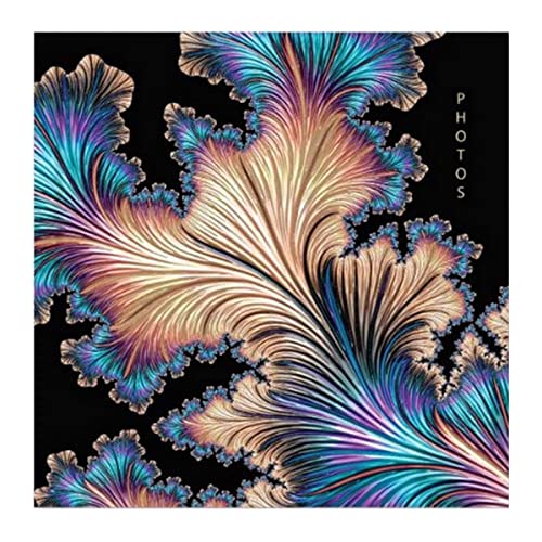 Picture This Black Abstract Feather Cover Photo Album Holds 200 Slip In Family 6'' x 4'' Photographs, Multi