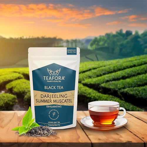 Image of TEAFORA Darjeeling Summer Muscatel Black Tea | Second Flush Loose Leaves | Full Bodied, Musky Fragrance with Floral Notes | Freshly Sourced Direct From Origin - 100g