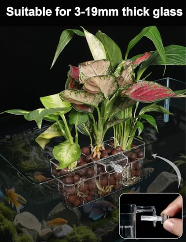Image of 1 Pack Clear Aquarium Plant Holder Top Hanging Fish Tank Plant Holders Fits up to 0.8in Tank Edges, Aquarium Decor