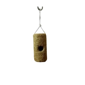 RARE OCEANS Bird House for Domestic Birds Natural Handmade (Pack of 1)