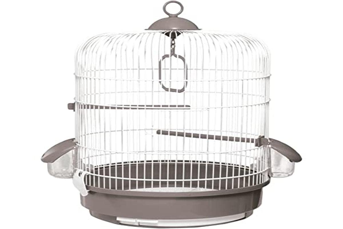 VOLTREGA001736bg Bird Cage