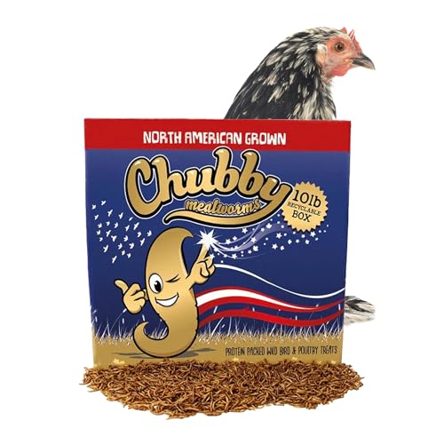 Chubby North American Grown Dried Mealworms | 10?lbs | Non-GMO