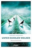 Cover zum Buch Unter dunklen Wolken