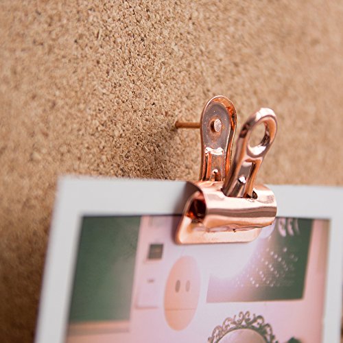 Suck Uk - Rose Drawing Push Pins | Office Desk School & Home Decor | Cork Board Tacks Paper Clips & Photo Binder | #TOP2