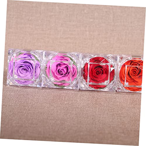 NUOBESTY 3 Peças Murchas Para Aniversário - Decoração Romântica Cristal Preservado Presente Para Mãe