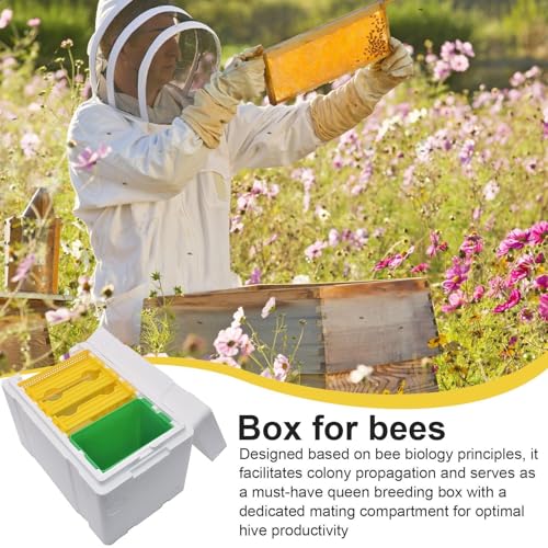 Colmena de interior con casa de espuma para acoplar y proteger abejas 3