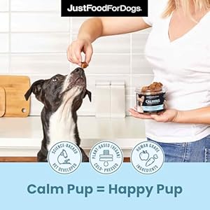 JustFoodForDogs Calming Supplement for Dogs Soft Chew to Support Stress and Anxiety, Melatonin, Relaxation Aid, Human-Grade Ingredients – 45 count