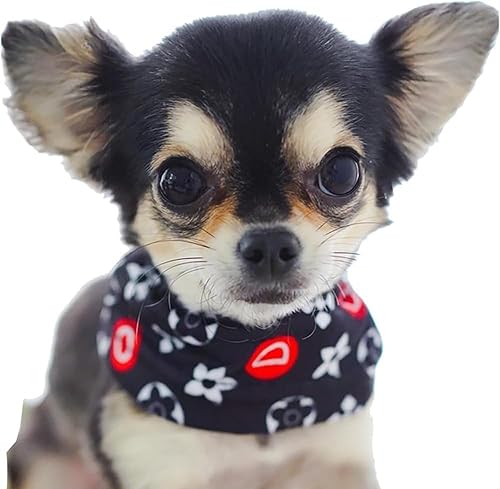 クールネック 犬 ネッククーラー 小型犬 超小型犬 チワワ 中型犬 熱中症対策 グッズ (ブラック, L)