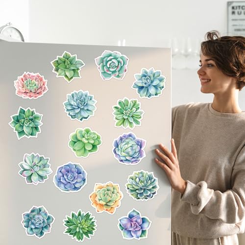 Imanes decorativos de plantas suculentas 16 pzas miniatura 6