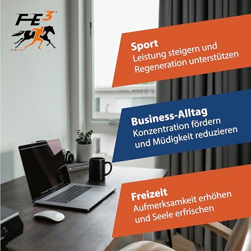FE³ by Fix Energy im Vorratspack (6 x 500ml) – Johannisbeer-Geschmack, mit Koffein, D-Ribose, Mineralien, Vitaminen & Aminosäuren – Erfrischend für Sport, Freizeit & Business