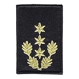  RescPol Dienststellungsabzeichen 3 Sterne gold + Eichenlaub