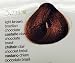 Salerm Color Cream Coloring Treatment Without Ammonia (Semi-permanent) Soft 3.4 Oz (5.735 Light Brown Brazilian Chocolate)