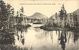 Doubletop Mountain from Outlet of Grassy Pond Scenic Maine ME Original Antique Postcard