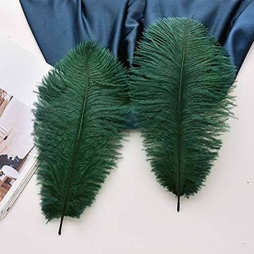 image for Ballinger Blackish Green Ostrich Feathers Bulk- 24pcs 10-12inch for We