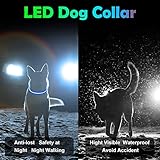 AUAUY LED Leuchthalsband Hund, USB Aufladbar Längenverstellbarer Haustier Sicherheit Kragen Zuschneidbares Wasserdicht Leuchthalsband für Hunde und Katzen, 3 Modus (Blau)