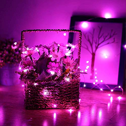 Image of RUICHEN Silver Wire 66 Ft 200 LED USB Fairy String Lights with On /Off Switch (Pink)